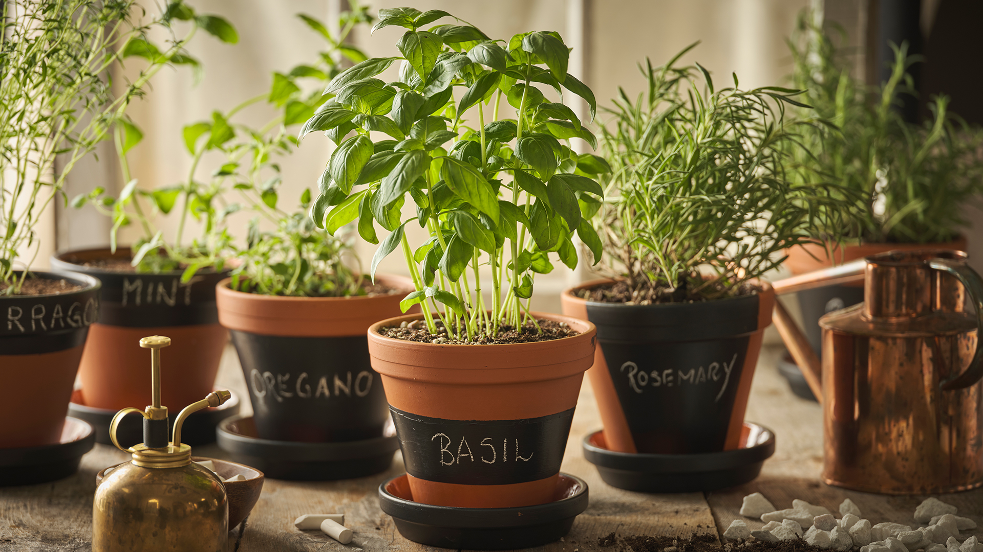 SO-Banner-1920x1080-Potted-Herbs